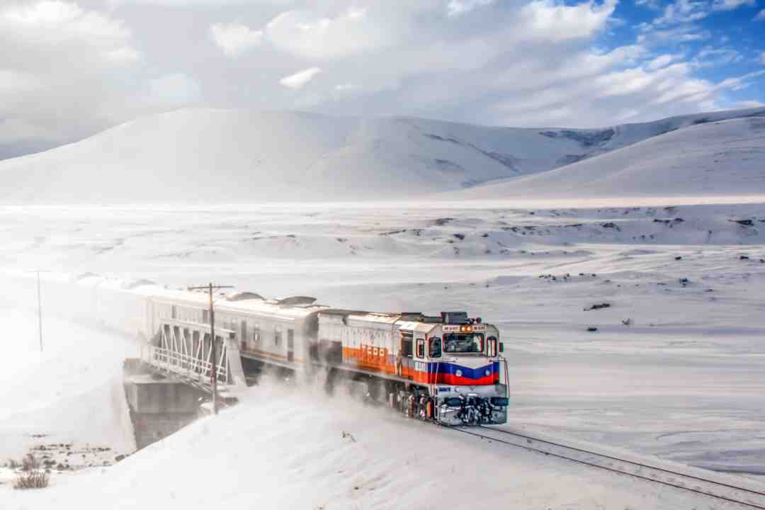 Special Interest Tours