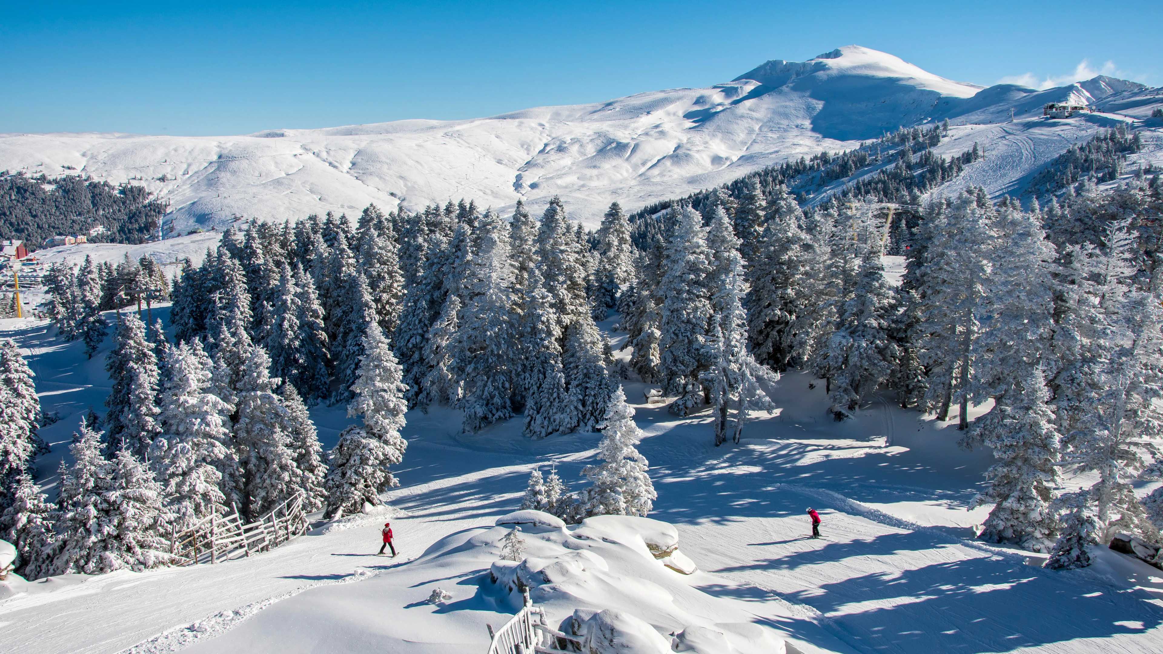Skiing