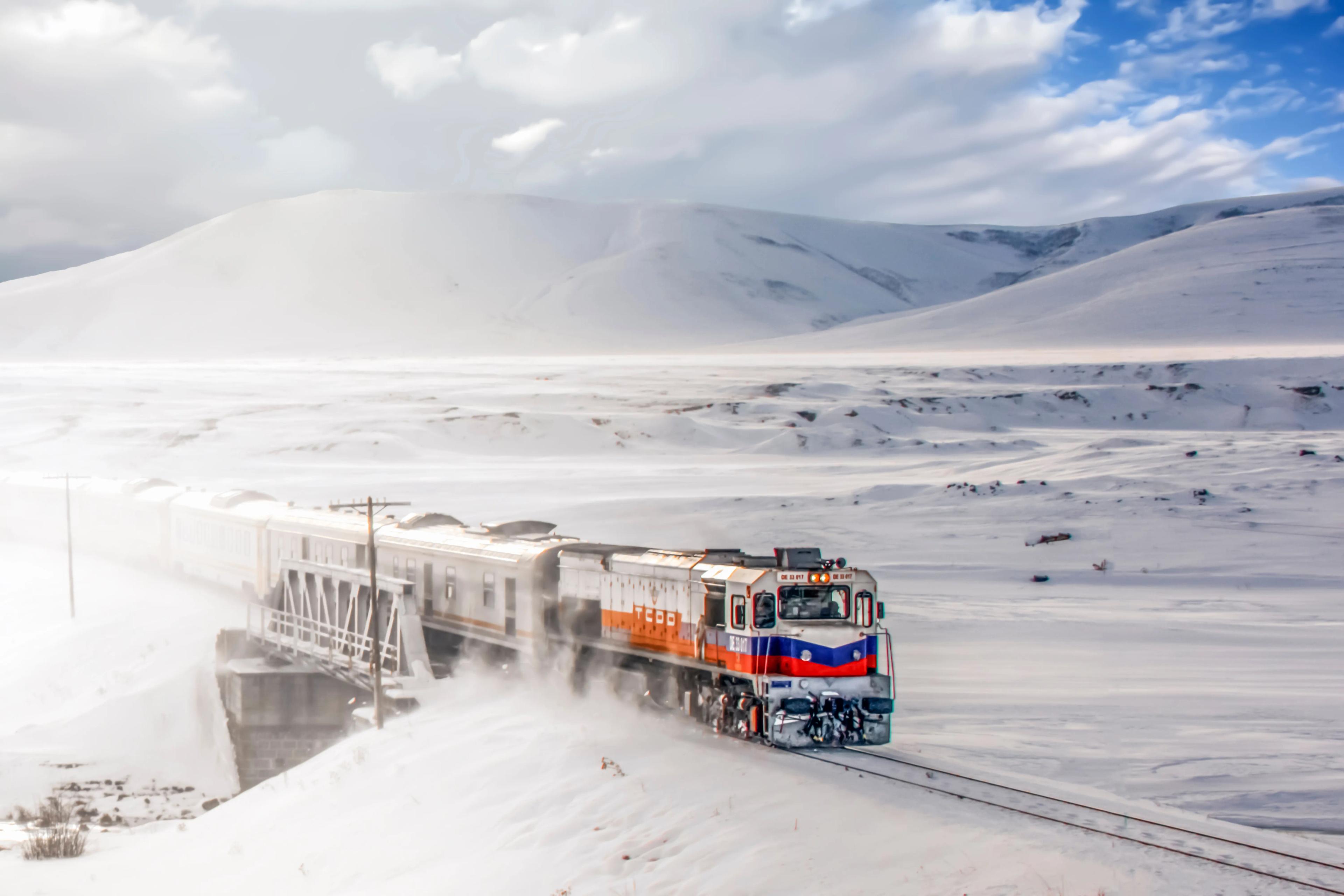 Special Interest Tours